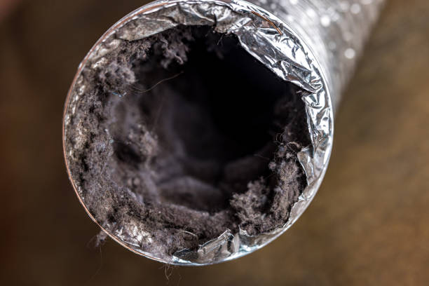 Best Industrial Air Duct Cleaning in Lakeport, CA